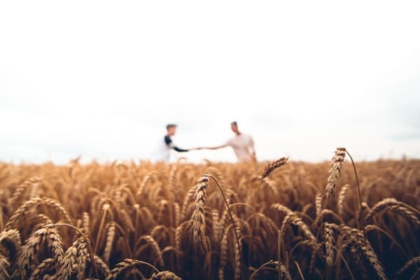 60,000 Farming Households Access Weather Insurance Cover